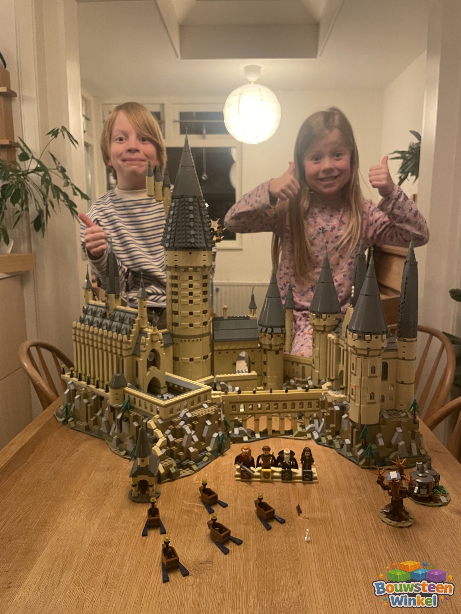 LEGO #71043AG-1 klantfoto