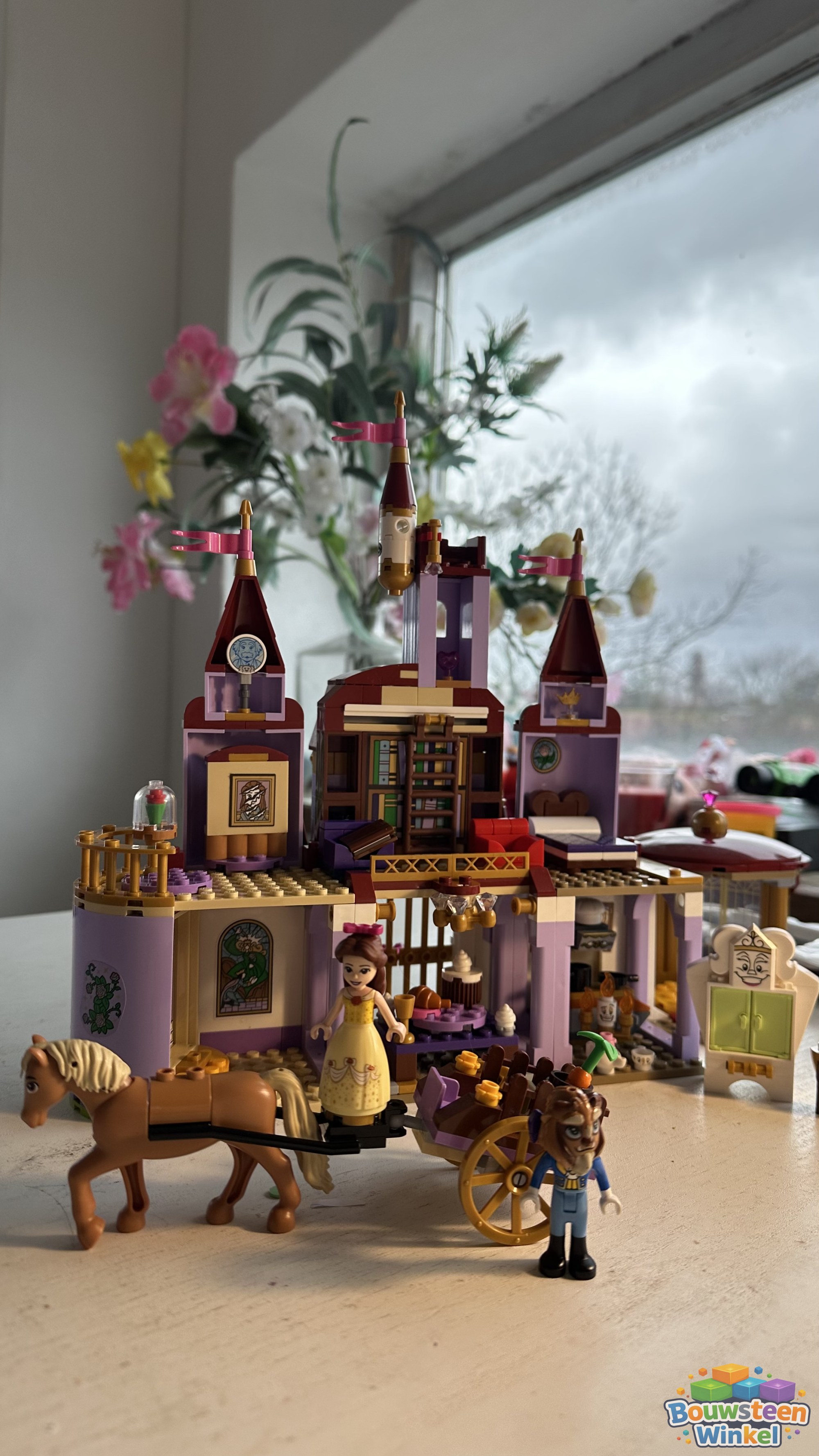 LEGO 43196 klantfoto