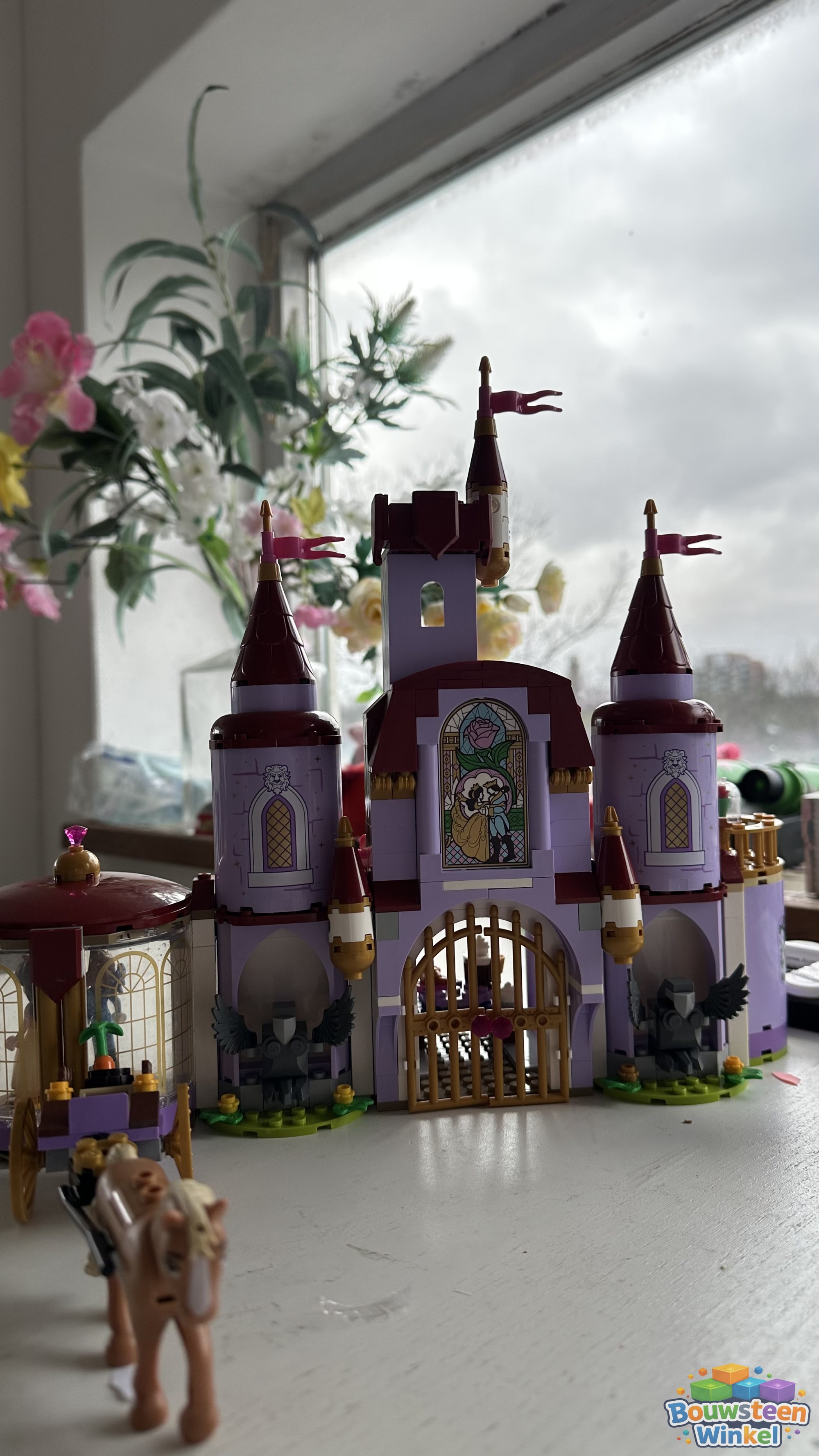 LEGO 43196 klantfoto