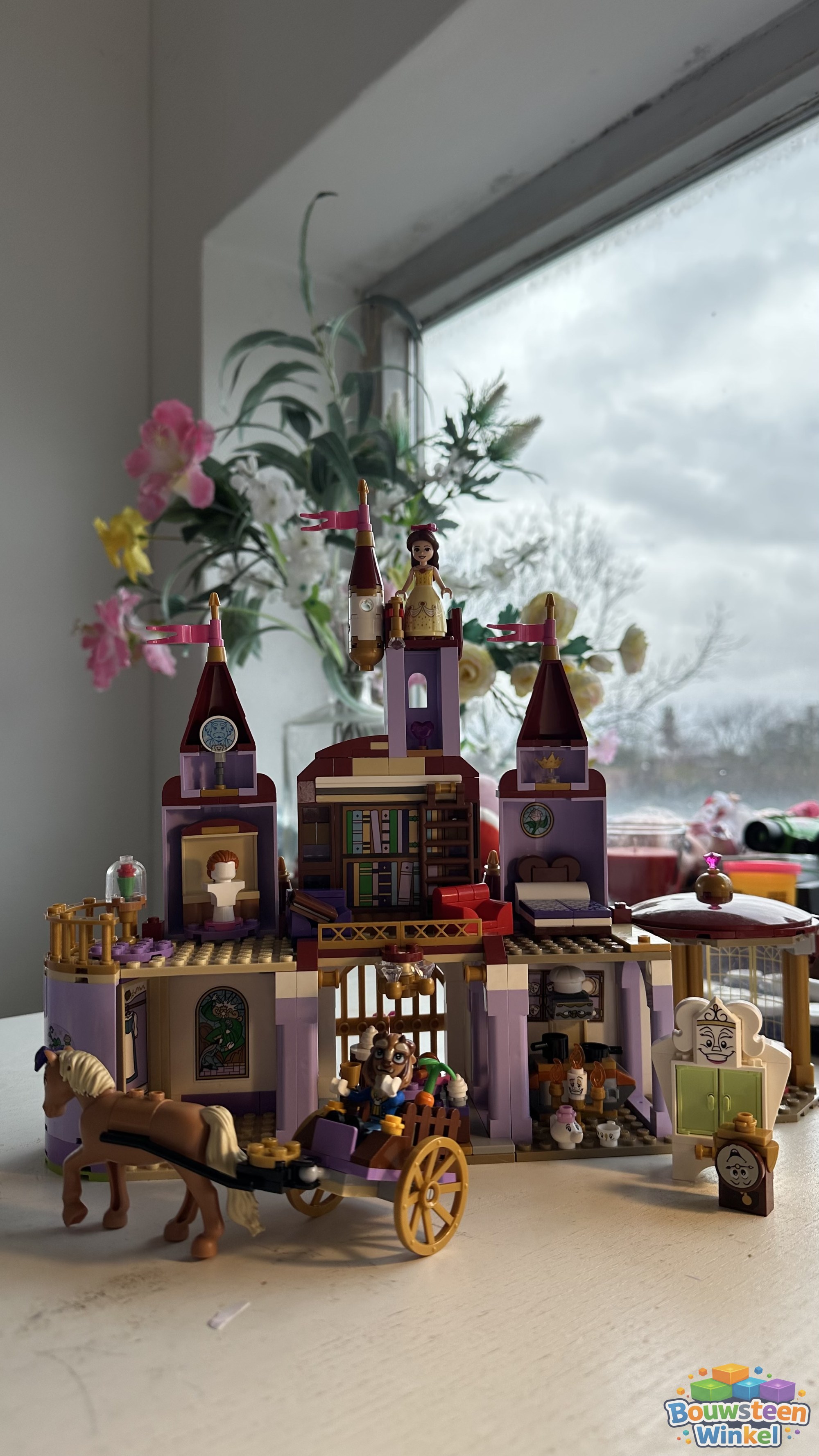 LEGO 43196 klantfoto