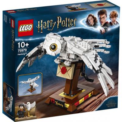 Hedwig