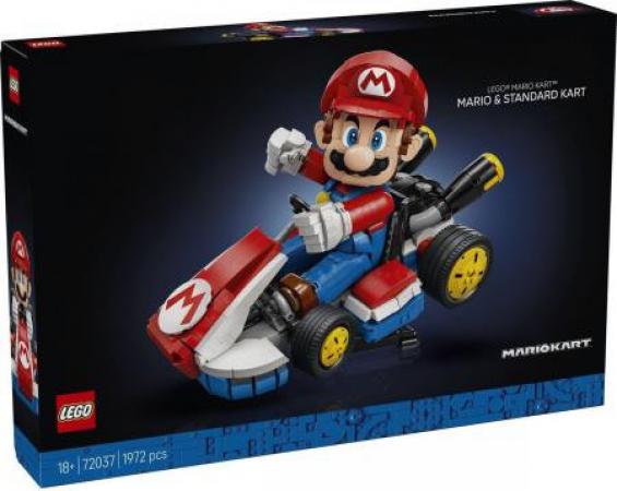 LEGO Super Mario Mario Kart: Standard Mario and Kart