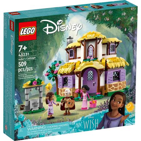 LEGO Disney Ashas huisje
